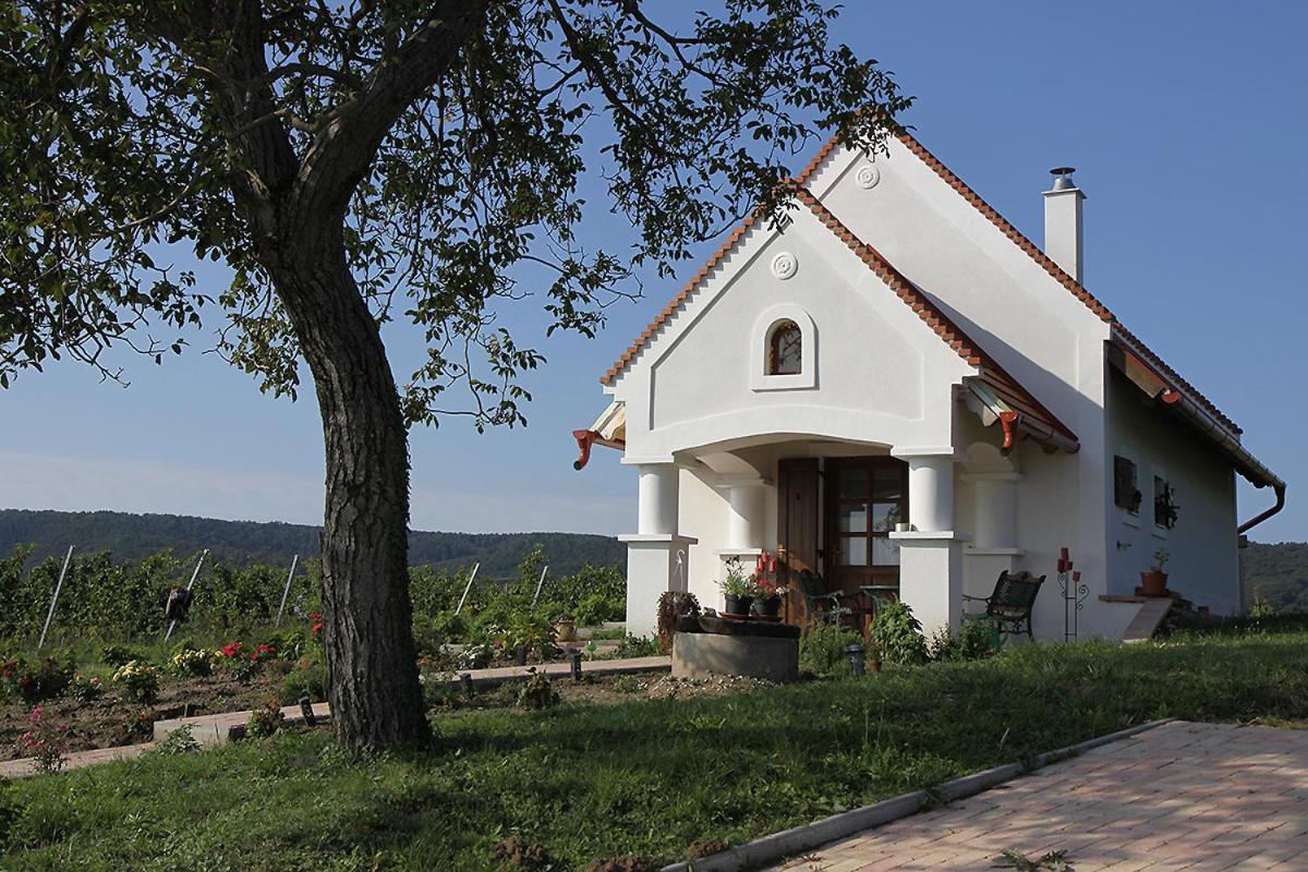 Villa Casa Beata Lesencetomaj Esterno foto