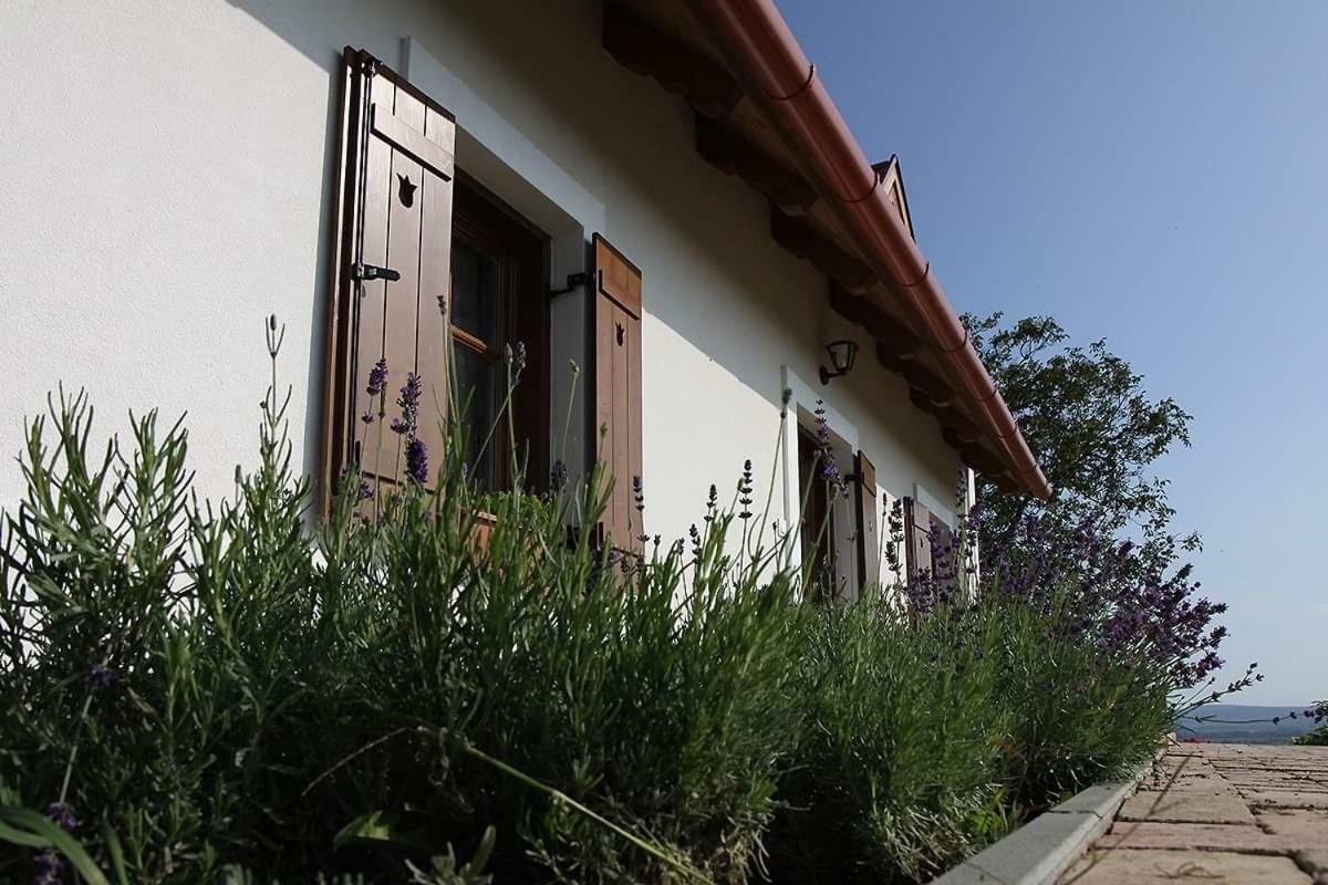 Villa Casa Beata Lesencetomaj Esterno foto
